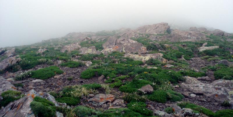 CloudFront Invalidation with TravisCI