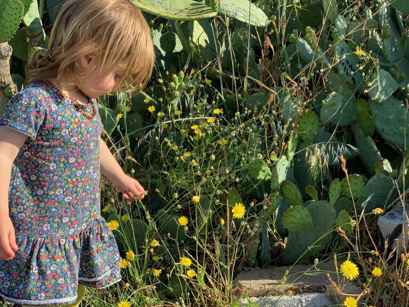 Accidently Carbon-Neutral Blog